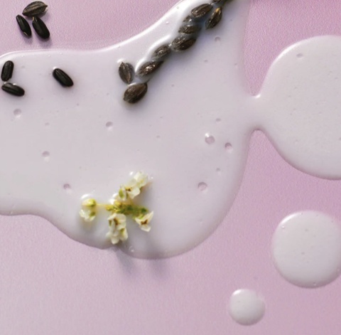 Haruharu Wonder - Black Rice Probiotics Barrier NAD+ Serum Mist - 80ml