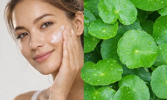 Czym jest Centella Asiatica?